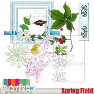 Spring Field Extras Set