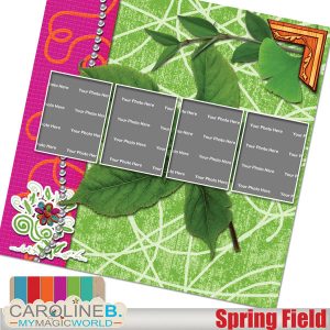 Spring Field QuickPage 02