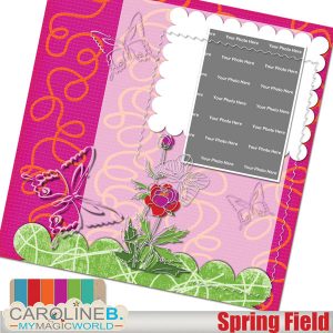 Spring Field QuickPage 03