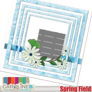 Spring Field QuickPage 04
