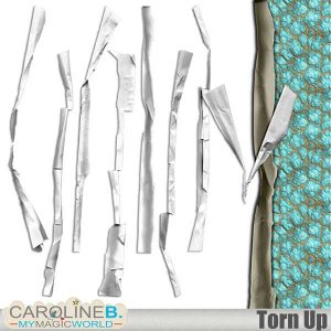 Torn Up - 7 Torn Borders
