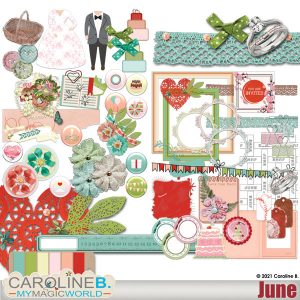 June - Elements Set (61 EL)