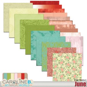 June - Papers Set (20 PP)