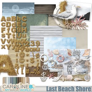 Last Beach Shore Collection