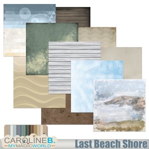Last Beach Shore Papers