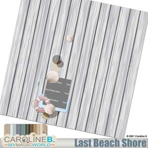 Last Beach Shore QP01
