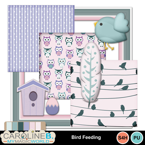 BirdFeeding_Mini01
