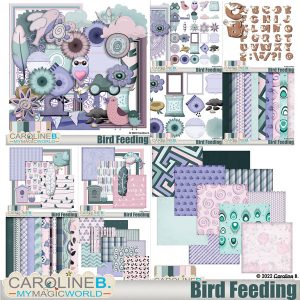 Bird Feeding Collection
