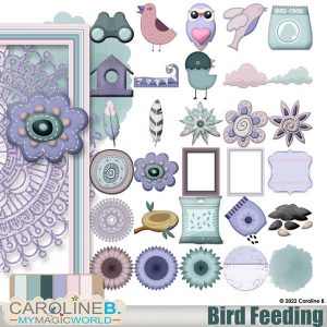 Bird Feeding Elements