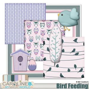Bird Feeding Mini 01