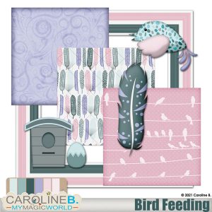 Bird Feeding Mini 02
