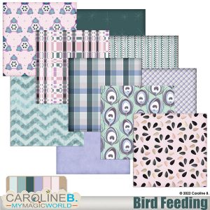 Bird Feeding Papers 01