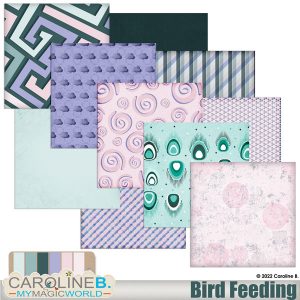 Bird Feeding  Papers 02