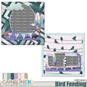Bird Feeding QP01-02