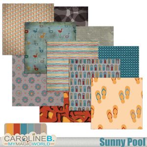 Sunny Pool - Papers 06