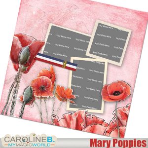 Mary Poppies hand drawn QP01