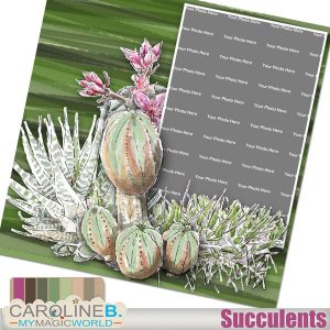 Succulents hand drawn QP01