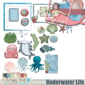 Underwater Life Elements