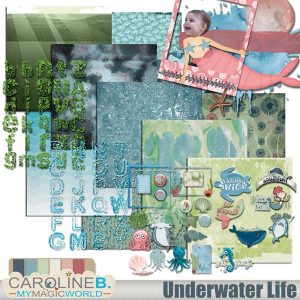 Underwater Life Collection