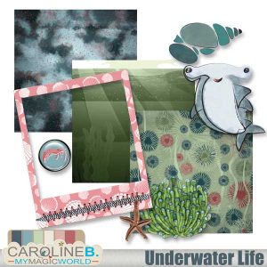 Underwater Life Mini 1