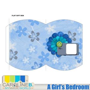 A Girl's Bedroom Flat Gift Box QP