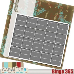 Bingo 365 QuickPage 03