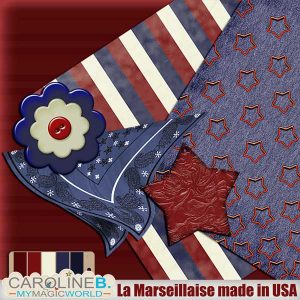 La Marseillaise made in USA Mini 02