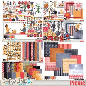 Picnic – Collection