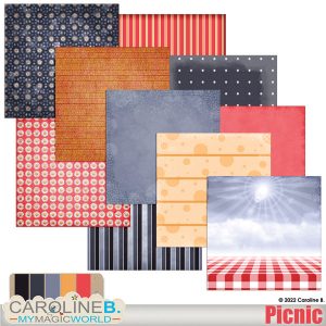 Picnic – Papers Set 01