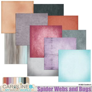 Spider Webs and Bugs Papers 02