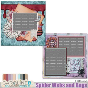 Spider Webs and Bugs QPs