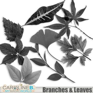 Branches and Leaves Elements