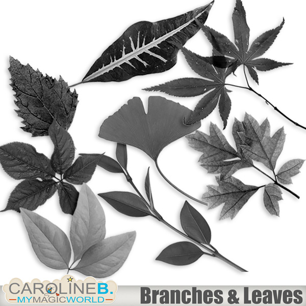 Branches and Leaves Elements