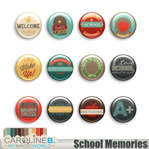 School Memories Flairs