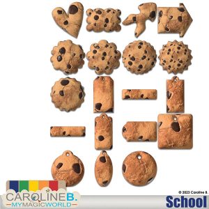 School Elements Cookies Set