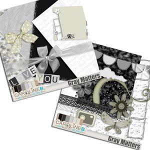 Gray Matters Bundle Kit