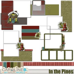 In the Pines Extra Clusters