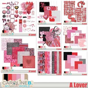 A Lover Full Collection