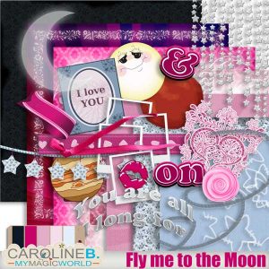 Fly me to the Moon Kit