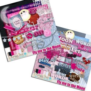 Fly me to the Moon Bundle