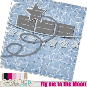 Fly me to the Moon QP04
