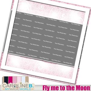 Fly me to the Moon QP05