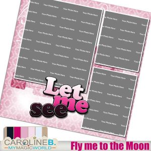 Fly me to the Moon QP06
