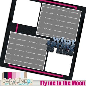 Fly me to the Moon QP07