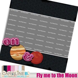 Fly me to the Moon QP08