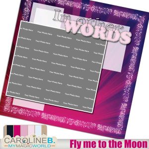 Fly me to the Moon QP09