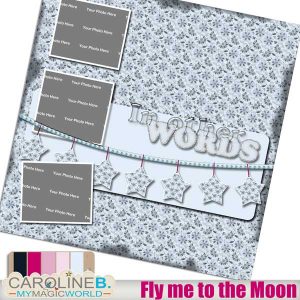 Fly me to the Moon QP11