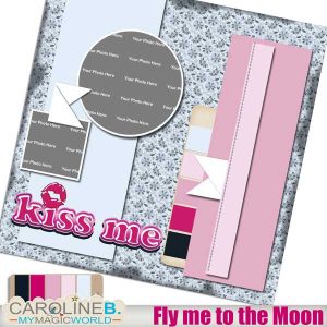 Fly me to the Moon QP12
