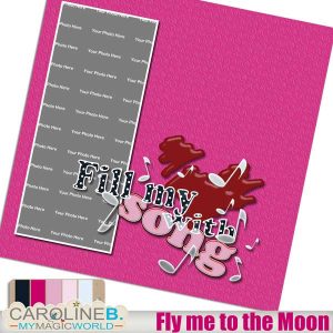 Fly me to the Moon QP13