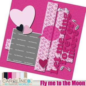 Fly me to the Moon QP14